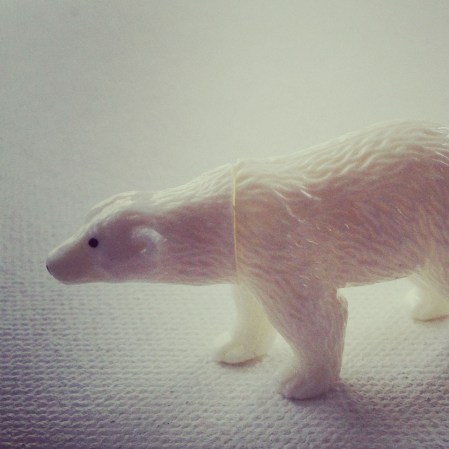 polar bear